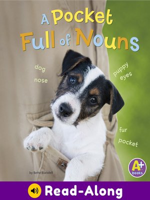 cover image of A Pocket Full of Nouns